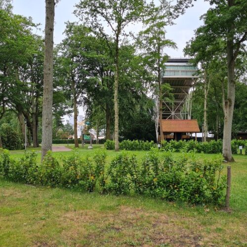 Kamperen op de camping van Duinrell: daar kikker je van op