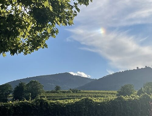Camping Les Trois Châteaux in het schilderachtige Eguisheim in de Franse Elzas