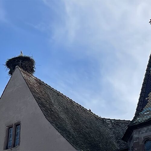 Camping Les Trois Châteaux in het schilderachtige Eguisheim in de Franse Elzas