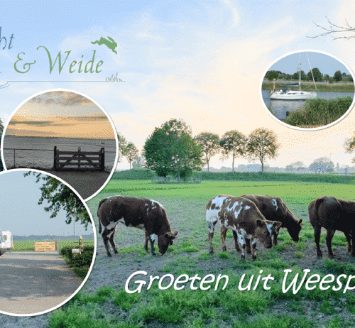 Nieuw netwerk van camperplaatsen in Nederland: Langs Boerenerven