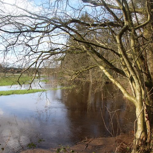 5 tips voor een vakantie in Drenthe