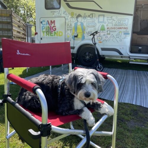 hond camper