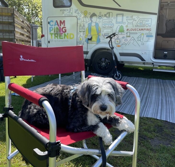 hond camper