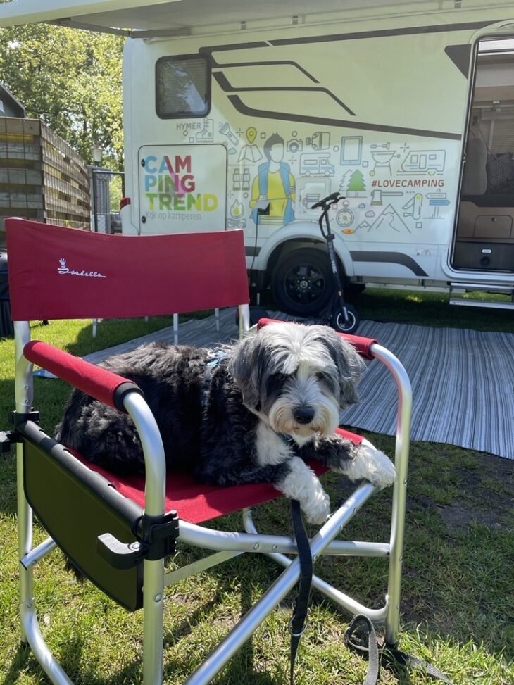 hond camper