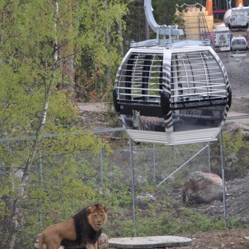 Kolmården Wildlife Park