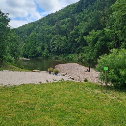 Moselcamping_Alf