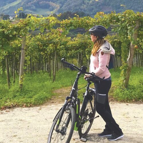 ANWB-Boek Fietsvakanties in Europa