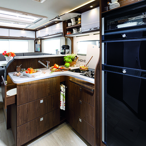 Frankia Platin I8400