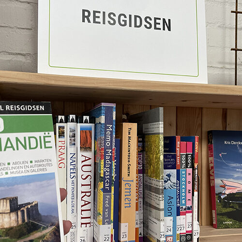 Reisgidsen
