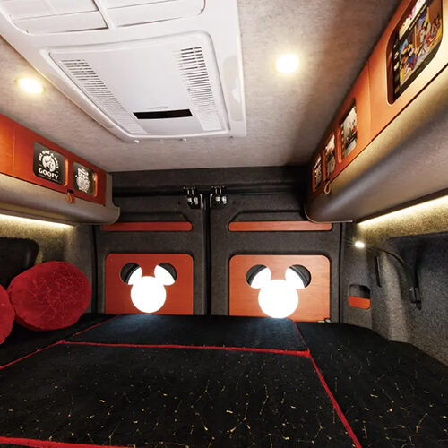 Disney camper bed
