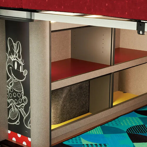 Minnie Disney Ducato