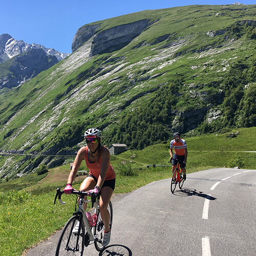 Pyreneeën