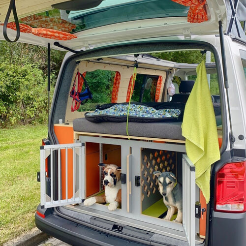 Flowcamper Fellschnute hondencamper