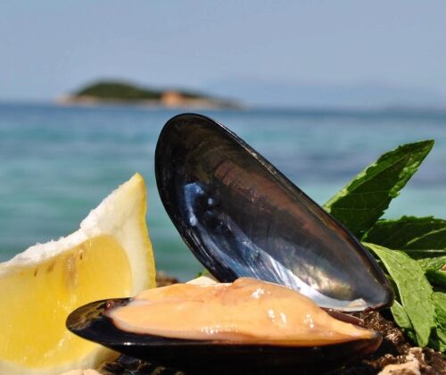 Mossel_albanië