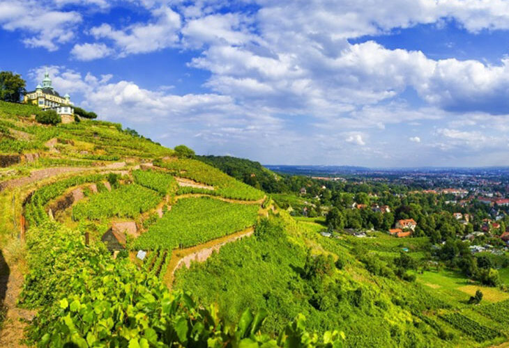 Saksische wijnroute