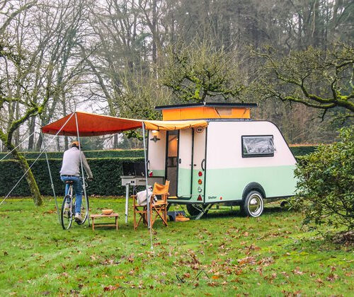 Kip Shelter Jubileum Editie
