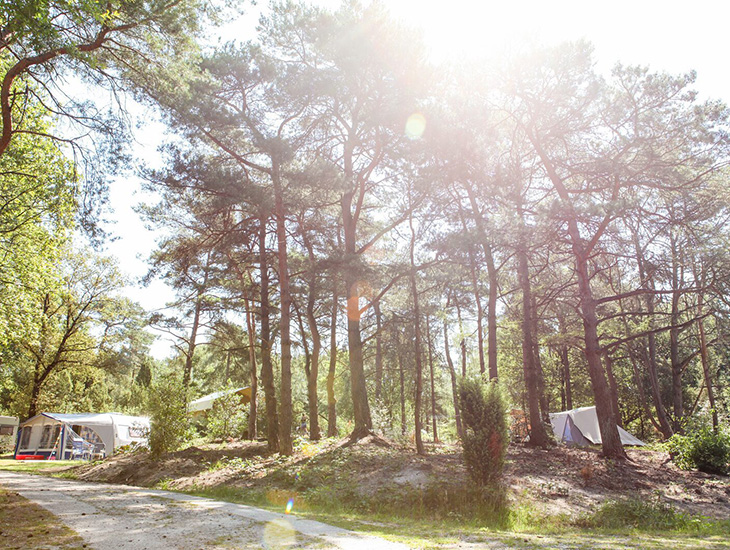 Autovrije camping Nederland