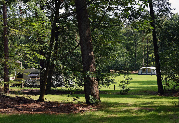 Camping 't Vlintenholt