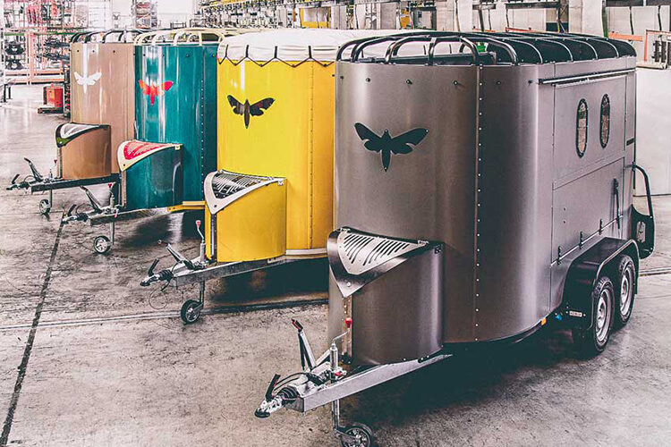 Rausschwärmer_kleuren