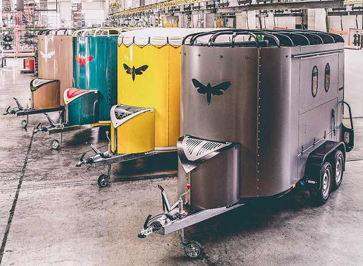 Rausschwärmer_kleuren