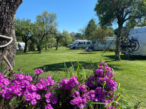 Quinta da Cerejeira Quinta da Cerejeira