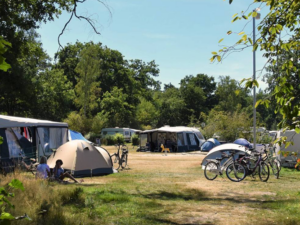 Camping Ommerland Nederlandse campings: Camping Ommerland