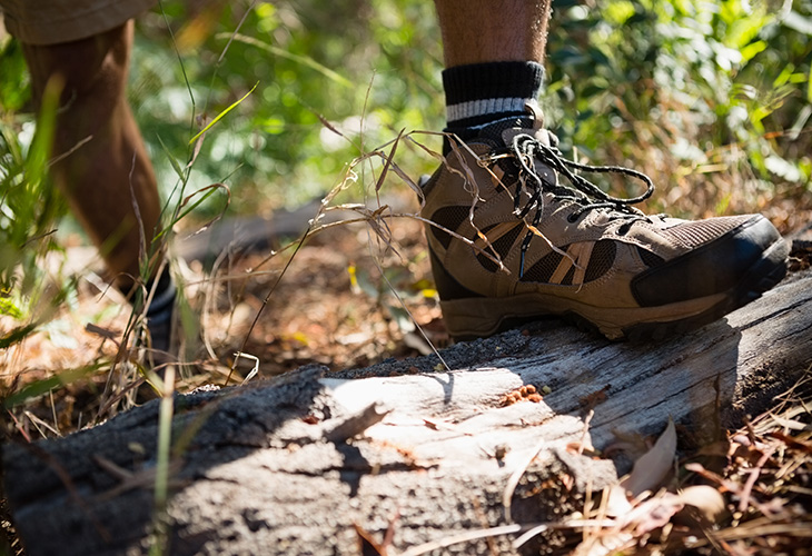 ‘Beerze en Junne’ uitgeroepen tot Wandelroute van het Jaar