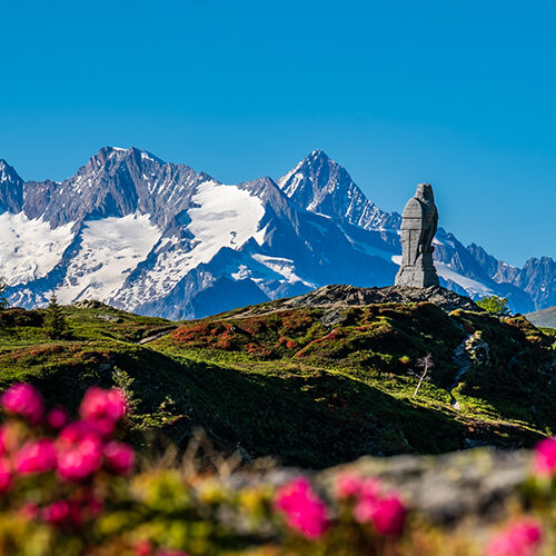 Simplon Adler im Frühling