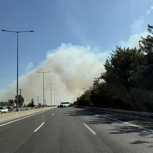 Bosbrand Griekenland