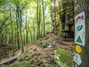 Wandelgebieden in de Benelux