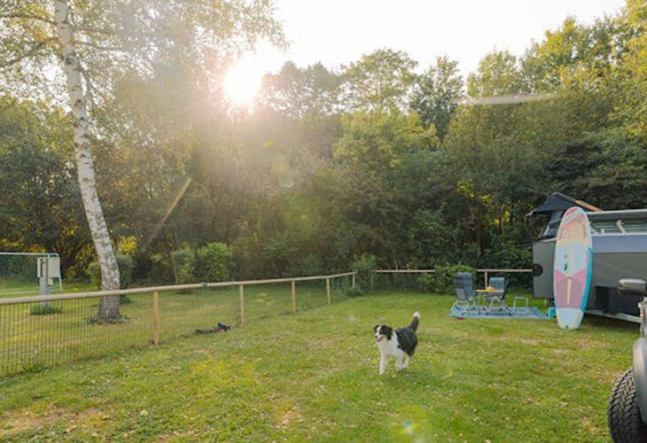 Camping hond Duitsland