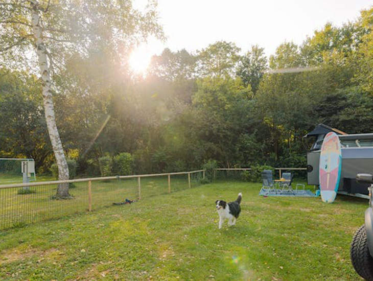 Camping hond Duitsland