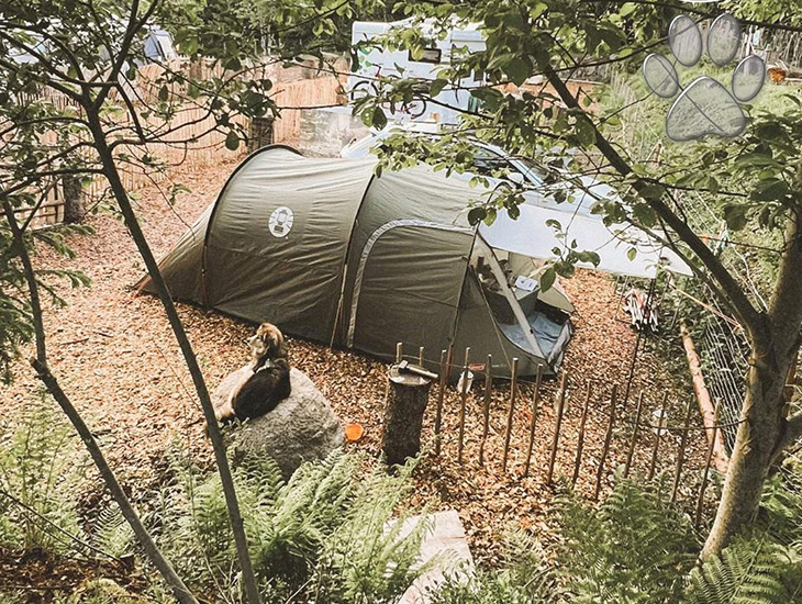 hondvriendelijke camping Duitsland