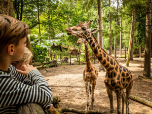 Dierenpark Amersfoort Leukste uitje van Nederland