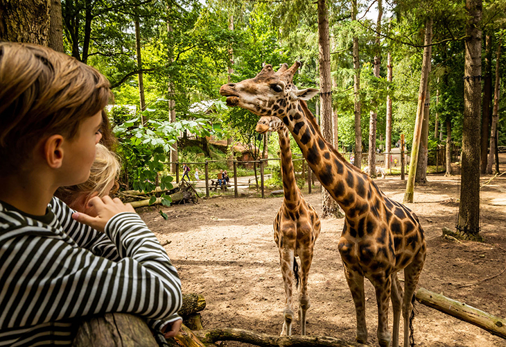 Dierenpark Amersfoort Leukste uitje van Nederland