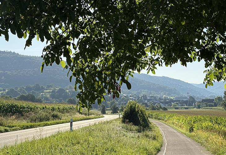 Kamperen in Duitsland campings