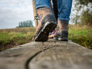 Klompenpad van Stichting Landschapsbeheer Gelderland in Rozendaal