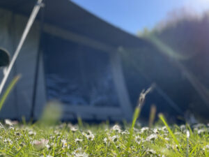 Toeristenbelasting 2026 campings