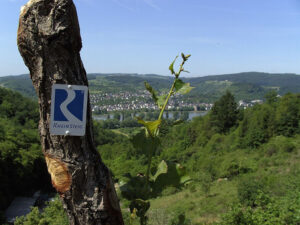 Rheinsteig