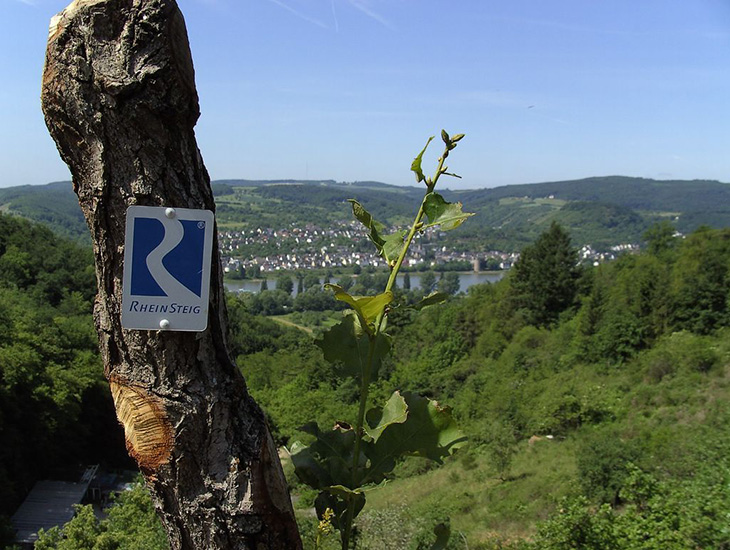 Rheinsteig