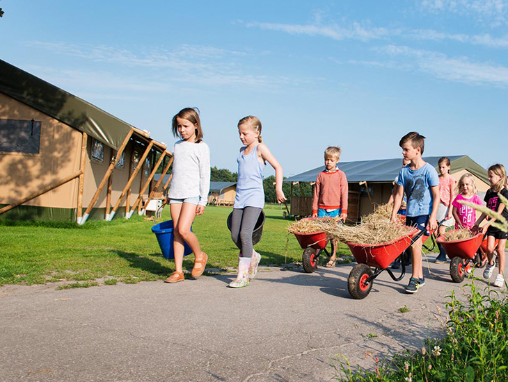 FarmCamps