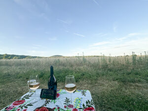 Camping Siesta Mendig