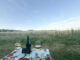 Camping Siesta Mendig