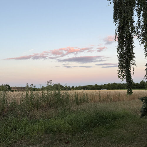 Camping Siesta Mendig uitzicht