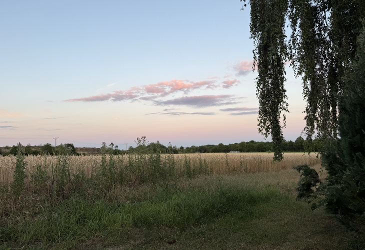 Camping Siesta Mendig uitzicht