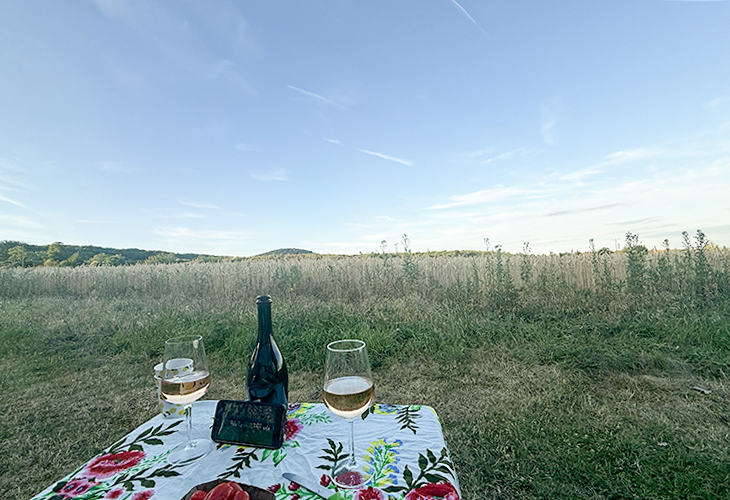 Camping Siesta Mendig