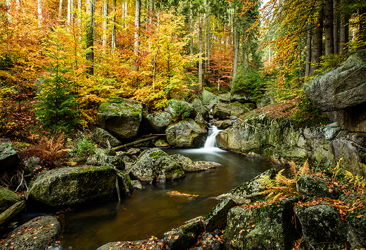 Cerna Desna waterval