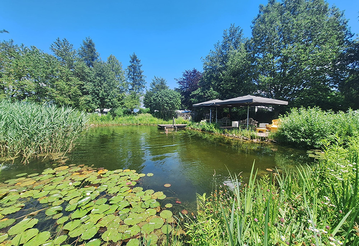 Natuurvijver 50plus Campingpark