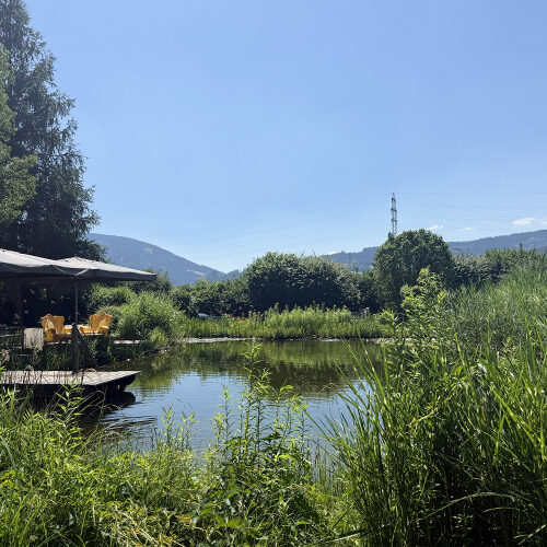 Zwemmen 50plus Campingpark