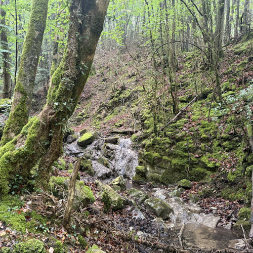 Wandeling Aux Sources de Barberolle door bosrijk gebied